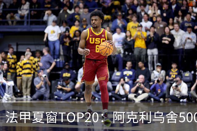 法甲夏窗TOP20：阿克利乌舍5000万欧成标王，费兰4850万欧第二